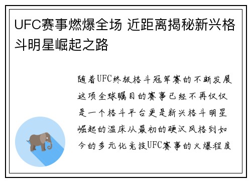 UFC赛事燃爆全场 近距离揭秘新兴格斗明星崛起之路