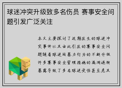 球迷冲突升级致多名伤员 赛事安全问题引发广泛关注